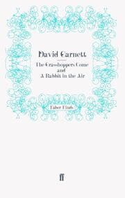 Cover von The Grasshoppers Come and A Rabbit in the Air