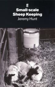 Cover von Small-Scale Sheep Keeping