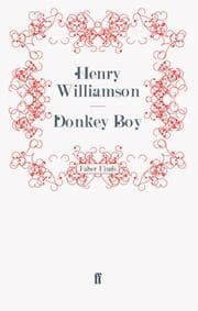 Cover von Donkey Boy