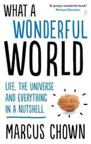 Cover von What a Wonderful World