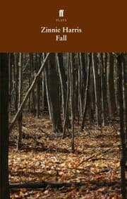 Cover von Fall