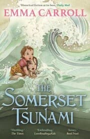 Cover von The Somerset Tsunami