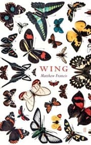 Cover von Wing