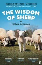 Cover von The Wisdom of Sheep & Other Animals