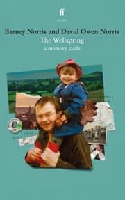 Cover von The Wellspring