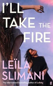 Cover von I'll Take the Fire 3
