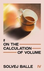 Cover von On the Calculation of Volume IV
