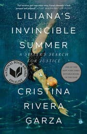 Cover von Liliana's Invincible Summer