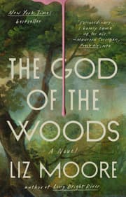 Cover von The God of the Woods