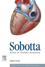 Cover von Sobotta: Atlas of Human Anatomy