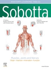 Cover von Sobotta Anatomy Learning Tables - Muscles, Joints and Nerves