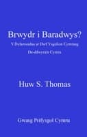 Cover von Brwydr i Baradwys?