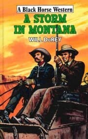 Cover von A Storm in Montana