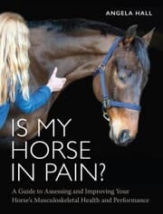 Cover von Is My Horse in Pain?
