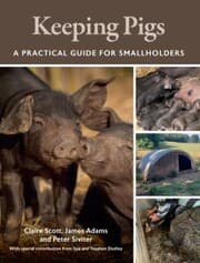 Cover von Keeping Pigs