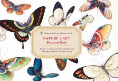 Cover von Nature's Art