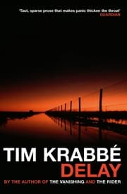Cover von Delay