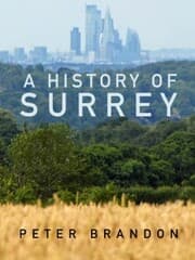 Cover von A History of Surrey
