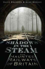Cover von Shadows in the Steam
