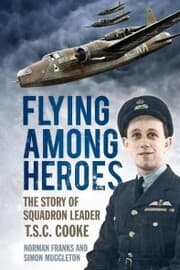 Cover von Flying Among Heroes