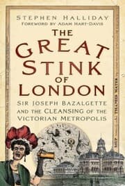 Cover von The Great Stink of London