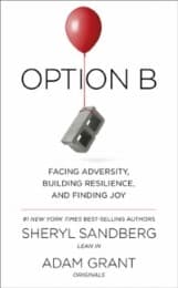 Cover von Option B