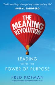 Cover von The Meaning Revolution