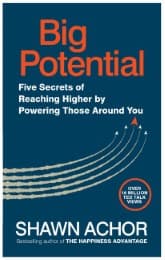 Cover von Big Potential