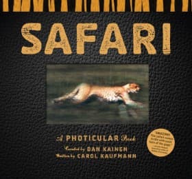 Cover von Safari
