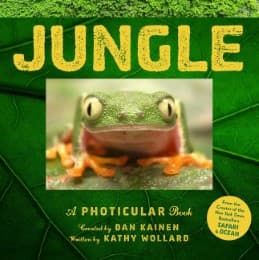 Cover von Jungle