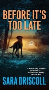 Cover von Before It's Too Late