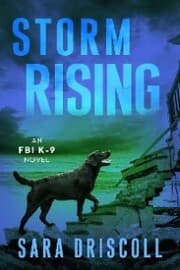 Cover von Storm Rising