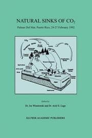Cover von Natural Sinks of CO2