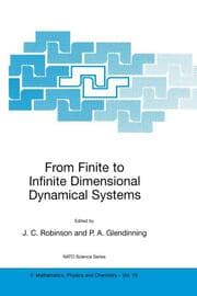 Cover von From Finite to Infinite Dimensional Dynamical Systems