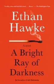 Cover von A Bright Ray of Darkness