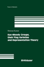Cover von Kac-Moody Groups, their Flag Varieties and Representation Theory