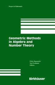 Cover von Geometric Methods in Algebra and Number Theory