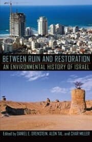 Cover von Between Ruin and Restoration