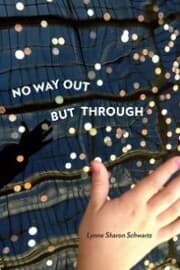 Cover von No Way Out but Through