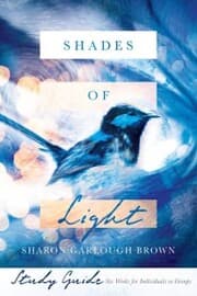 Cover von Shades of Light Study Guide
