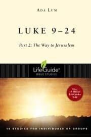 Cover von Luke 9-24