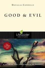 Cover von Good and Evil