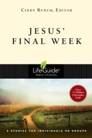 Cover von Jesus' Final Week