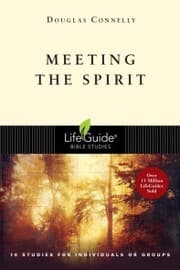 Cover von Meeting the Spirit