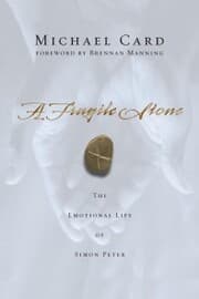 Cover von A Fragile Stone