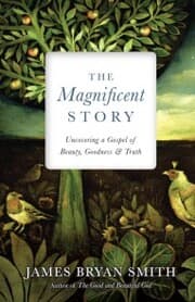 Cover von The Magnificent Story