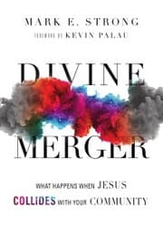 Cover von Divine Merger