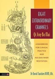 Cover von Eight Extraordinary Channels - Qi Jing Ba Mai
