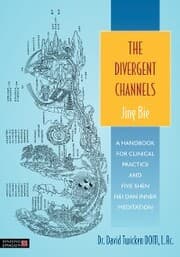 Cover von The Divergent Channels - Jing Bie