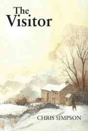 Cover von The Visitor